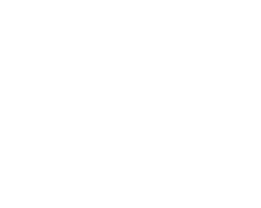 Apwide Logo Icon White