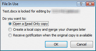 Excel File Locked For Editing