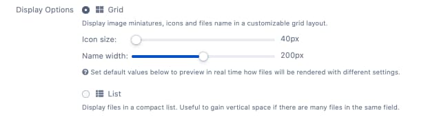 Display options for Jira File Field