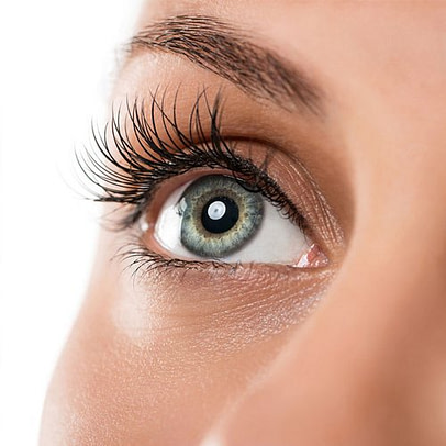 Eyelash and eyebrow tint others eyelash tint2