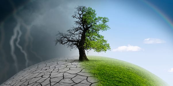 The effects of climate change on skin hypersensitivity